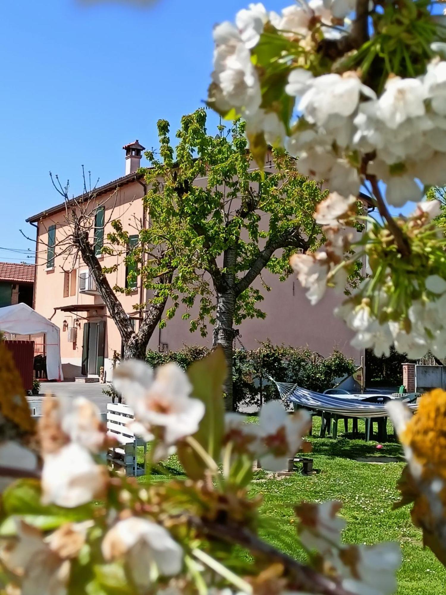 La Casa Della Nonna Bed and Breakfast Brisighella Buitenkant foto